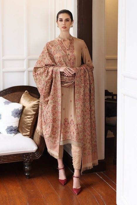 3 Piece - Unstitched Fully Embroided Dhanak Fabric With Embroided Dhanak shawl BR-685